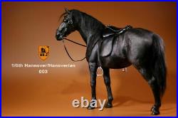 16 Mr. Z Black Germany Hanoverian Horse Race Horses Animal Statue Model Collect