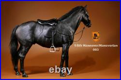 16 Mr. Z Black Germany Hanoverian Horse Race Horses Animal Statue Model Collect