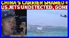 China-S-Shandong-Aircraft-Carrier-Shamed-Us-Warplanes-Approach-Undetected-Already-Gone-When-Spotted-01-lw