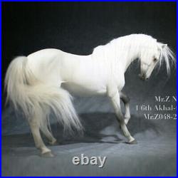 Mr. Z 1/6 MRZ048-4 Akhal-Teke Horses Animal Figure Model With Harness Accessories