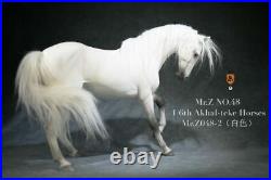 Mr. Z 16 Akhal-Teke War Horse Animal Statue Model MRZ048-2 Fit 12'' Soldier Doll