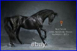 Mr. Z MRZ048-5 16 Akhal-Teke War Horse Animal Model Scene 12in Horse Figure Doll