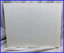 NASA 905 Photo Shuttle Carrier Aircraft 747 Red S83-46109 & Cap Discovery